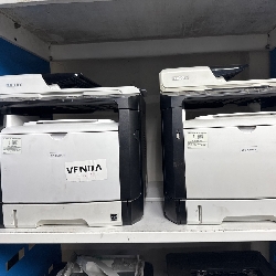 Miniatura