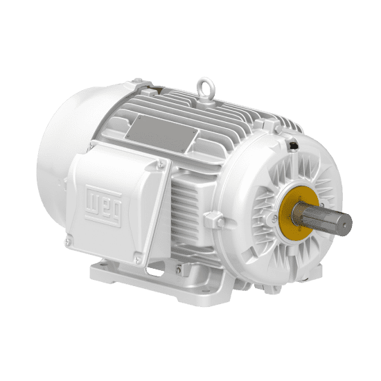 Motor W22 Wash
