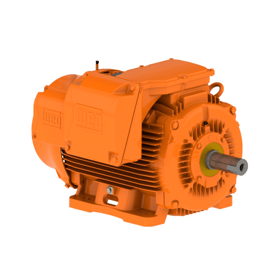 Motor W22 Mining