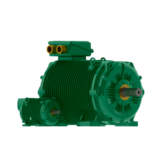 Motor Roller Table
