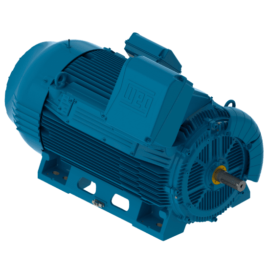 Motor W50