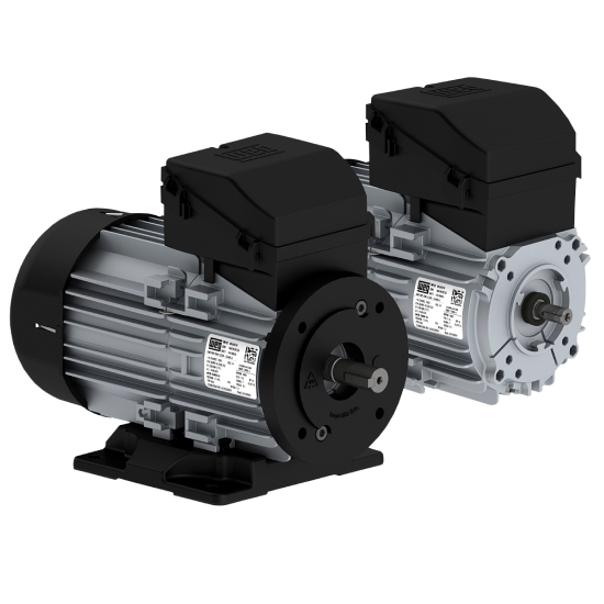 Motor W12